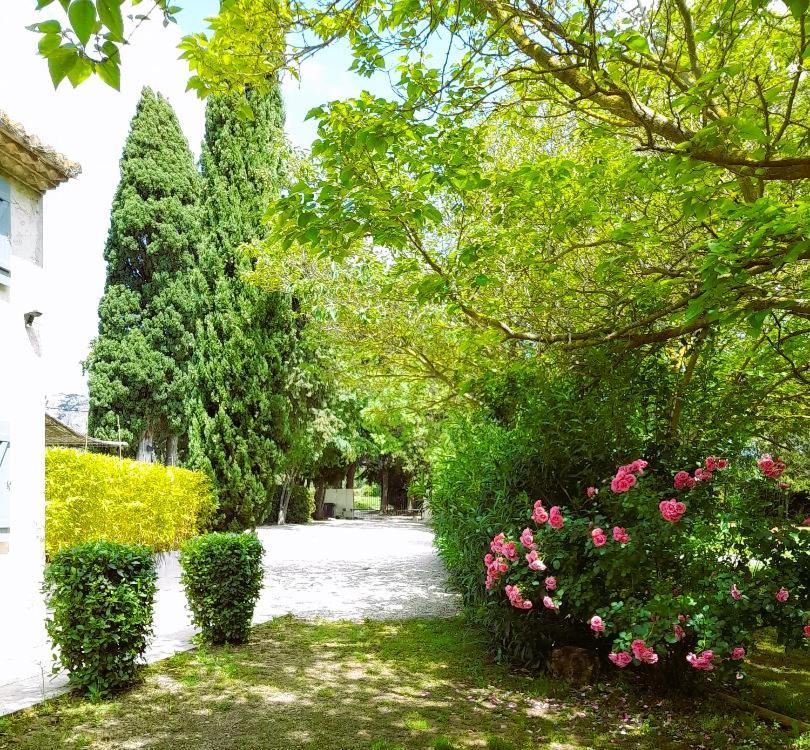 Hotel Le Mas des Vergers à Salon-de-Provence Extérieur photo